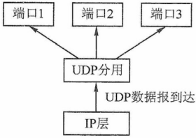 image-20211218213357580