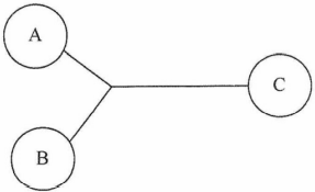 image-20211204190330043