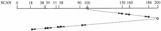 image-20211119163742356
